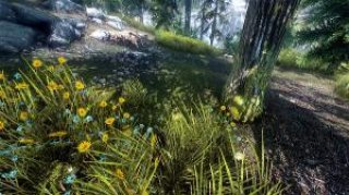 skyrim_screen.jpeg