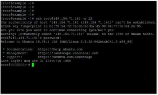 Подключение к серверу по SSH с компьютера на Linux/MacOS
