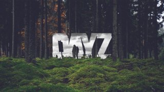 Выживач зомби апокалипсис DayZ держит игроков бурей эмоций и победой над страхом смерти