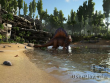 TheIsland