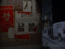 nmo_brooklyn